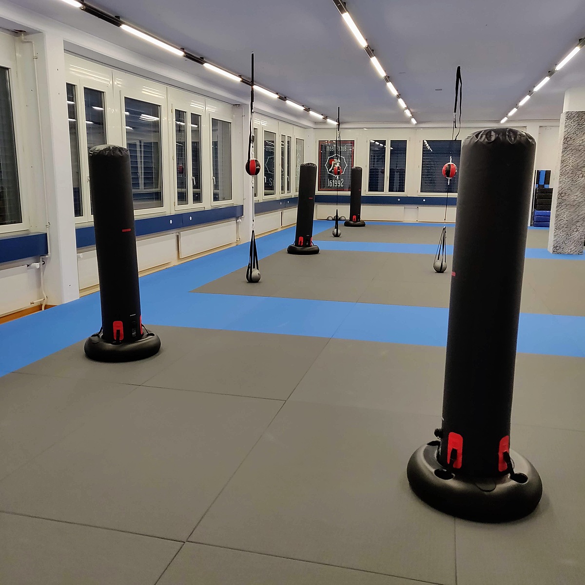 Wir starten wieder! 🎉